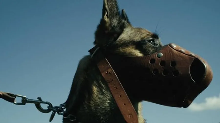 Медиа изображение