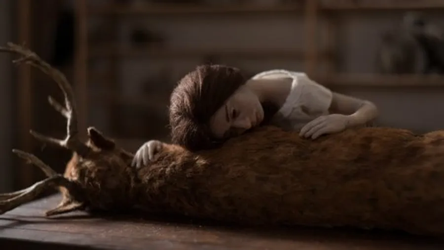 Медиа изображение