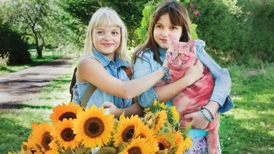 Медиа изображение