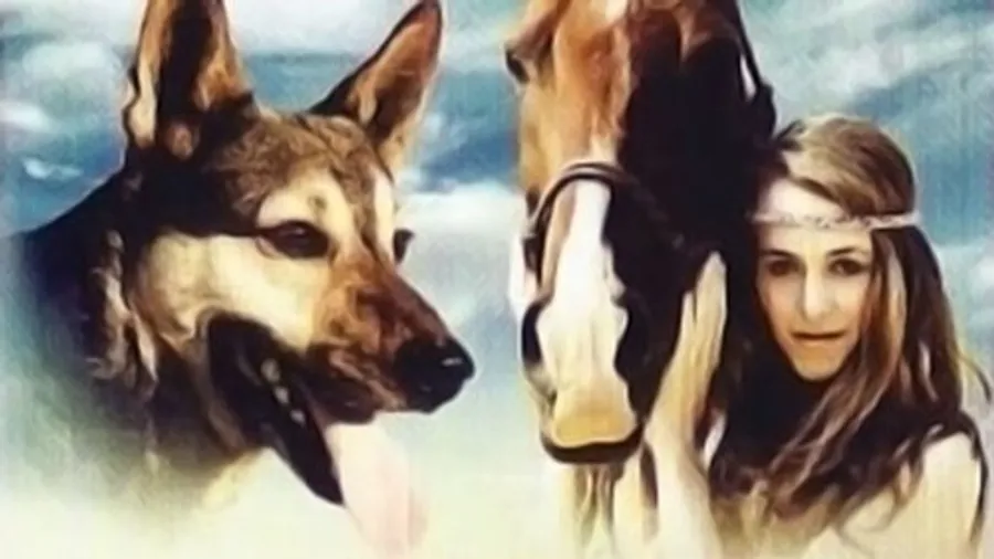 Медиа изображение