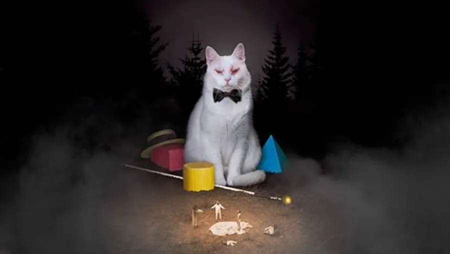 Медиа изображение