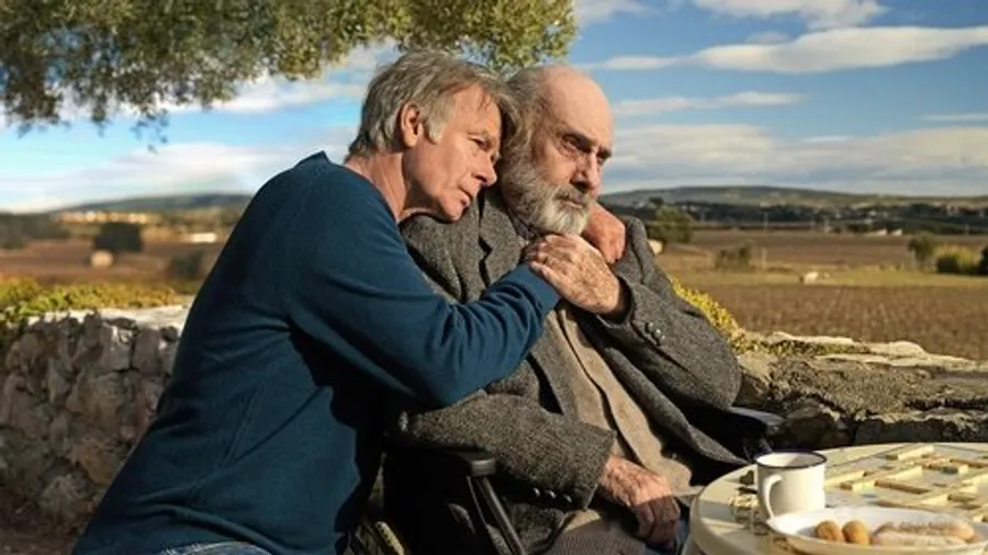 Медиа изображение