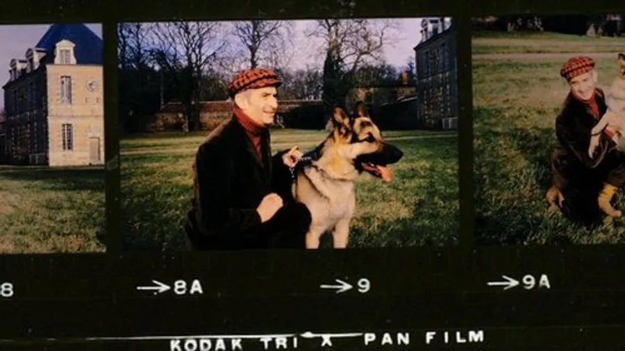 Медиа изображение