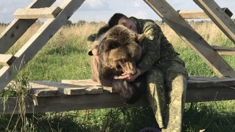 Медиа изображение