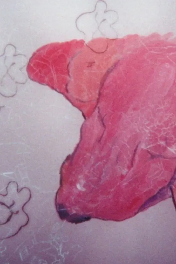 Медиа изображение