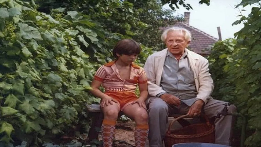 Медиа изображение