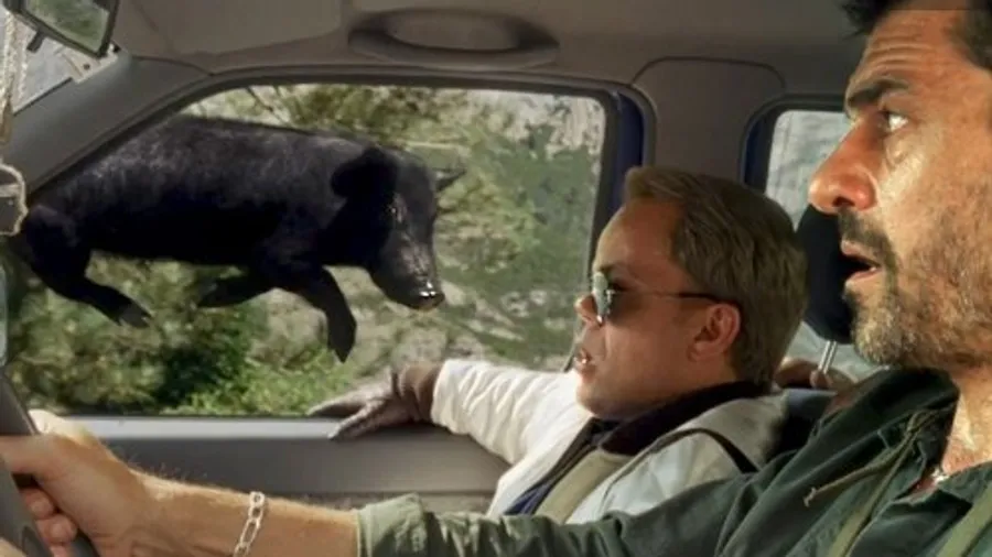 Медиа изображение