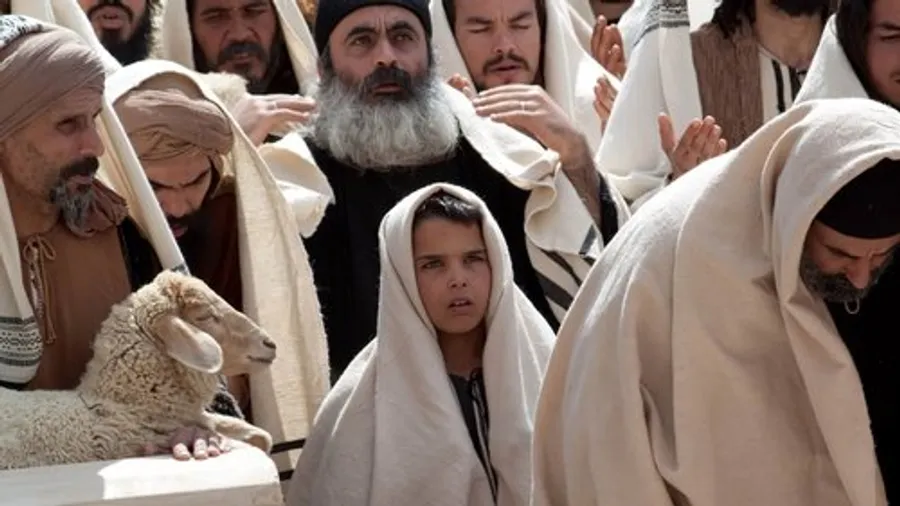 Image 0
