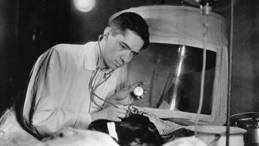 Медиа изображение