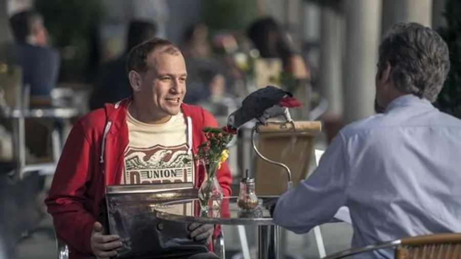 Медиа изображение