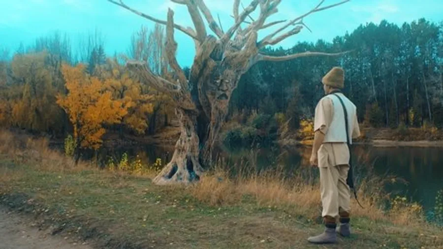 Медиа изображение