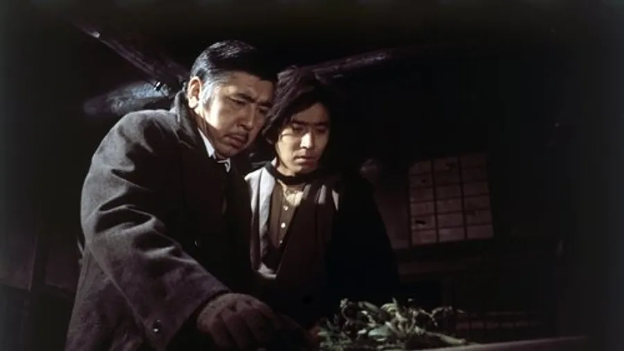 Медиа изображение