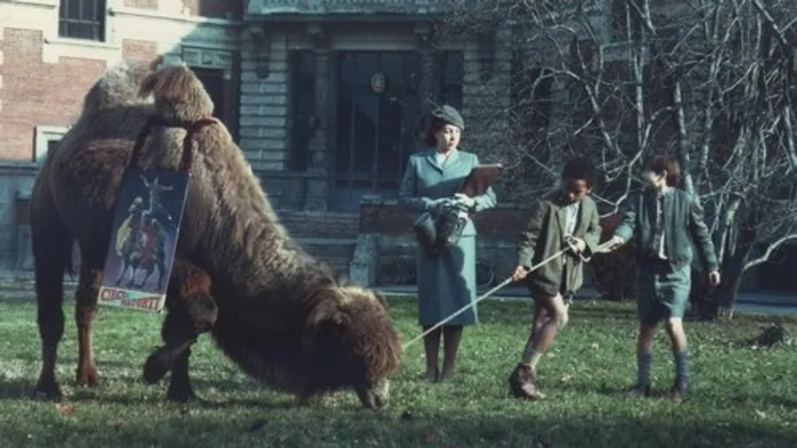 Медиа изображение