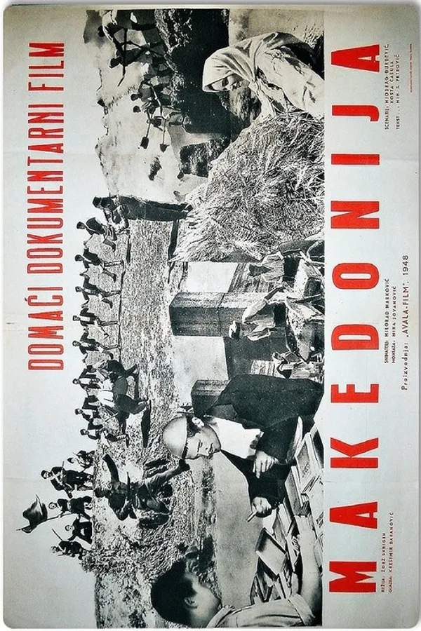 Медиа изображение