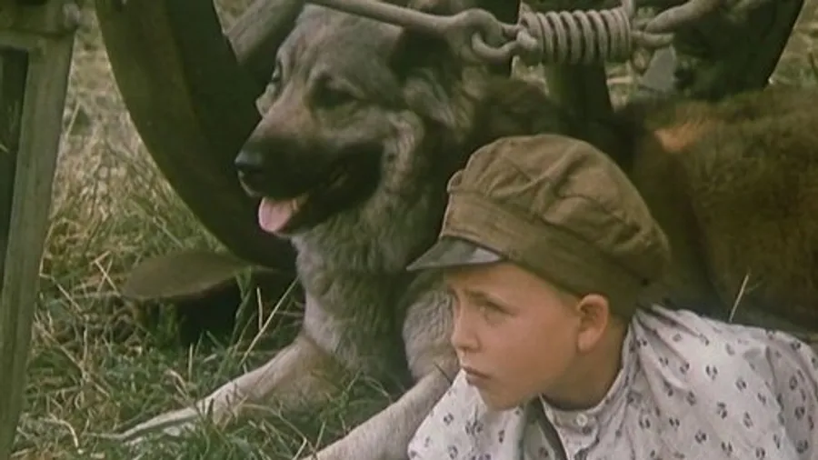 Медиа изображение