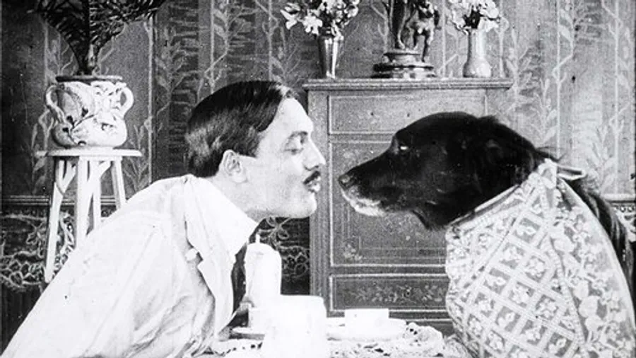 Медиа изображение