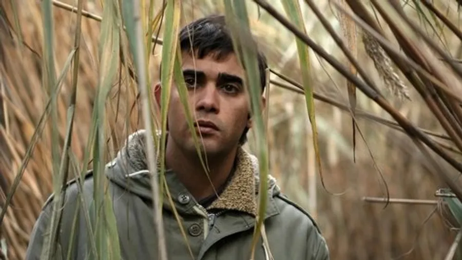 Медиа изображение