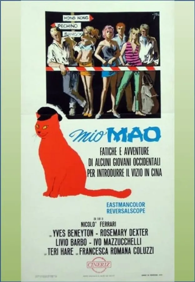 Медиа изображение