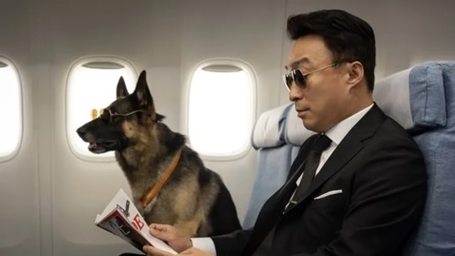 Медиа изображение