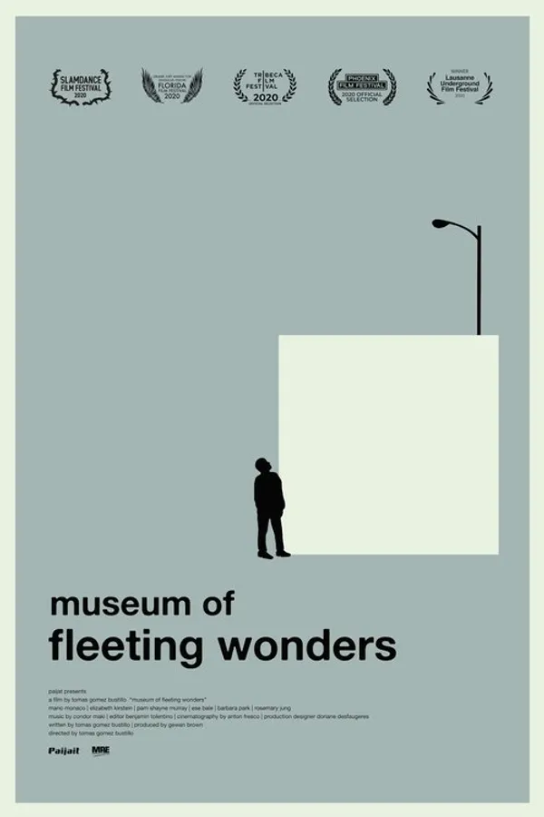 Museum of Fleeting Wonders