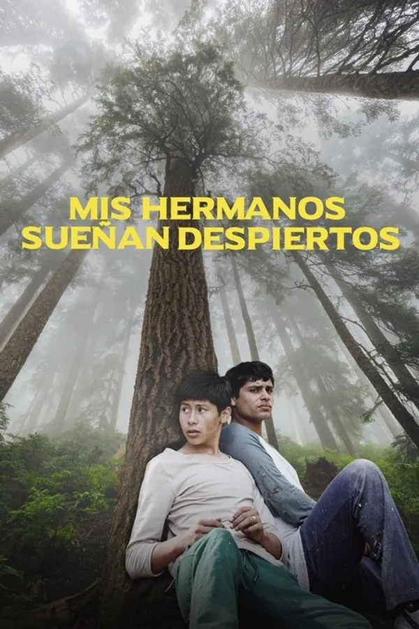 My Brothers Dream Awake