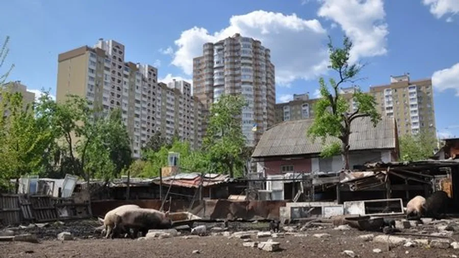 Медиа изображение