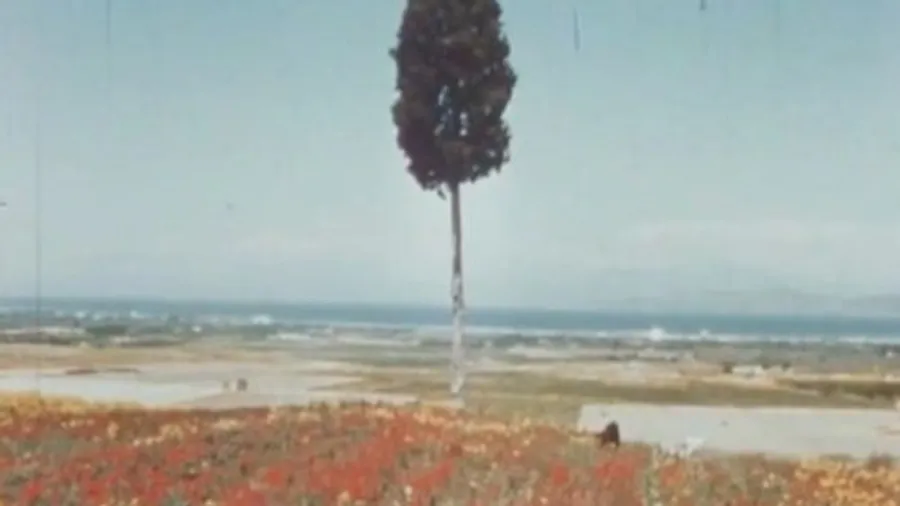 Image 0