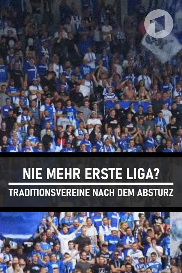 Nie mehr erste Liga? - Traditionsvereine nach dem Absturz