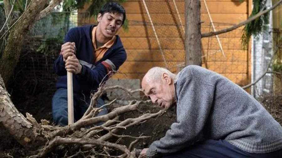 Медиа изображение