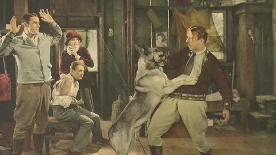 Медиа изображение