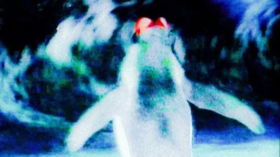 Image 0