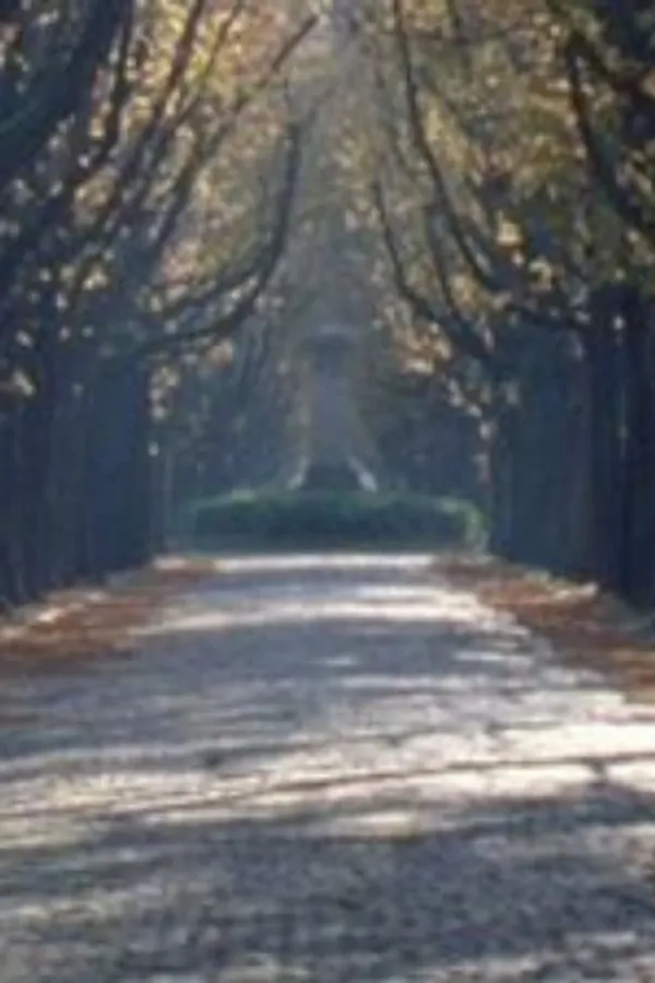 Nous sommes revenus dans l'allée des marronniers