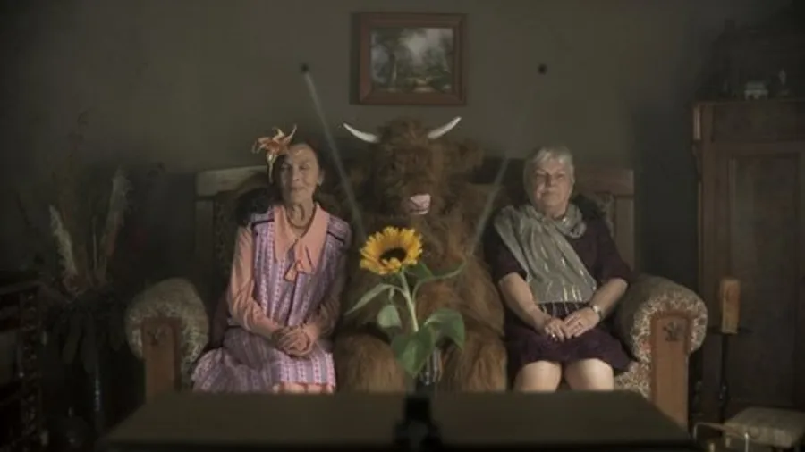 Медиа изображение