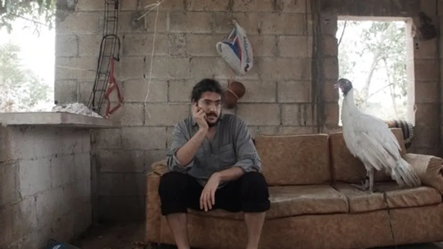 Медиа изображение