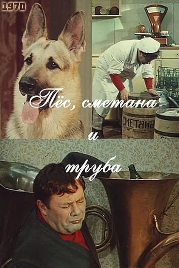 Медиа изображение