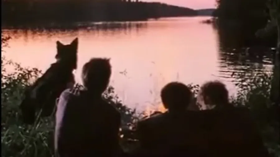 Медиа изображение