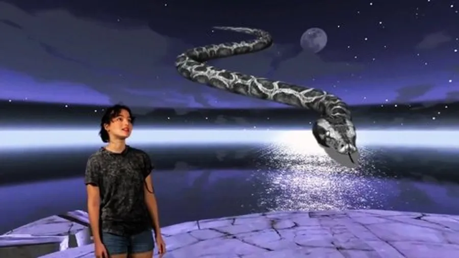 Медиа изображение