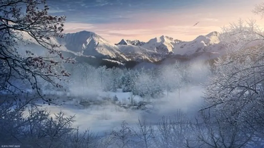 Медиа изображение