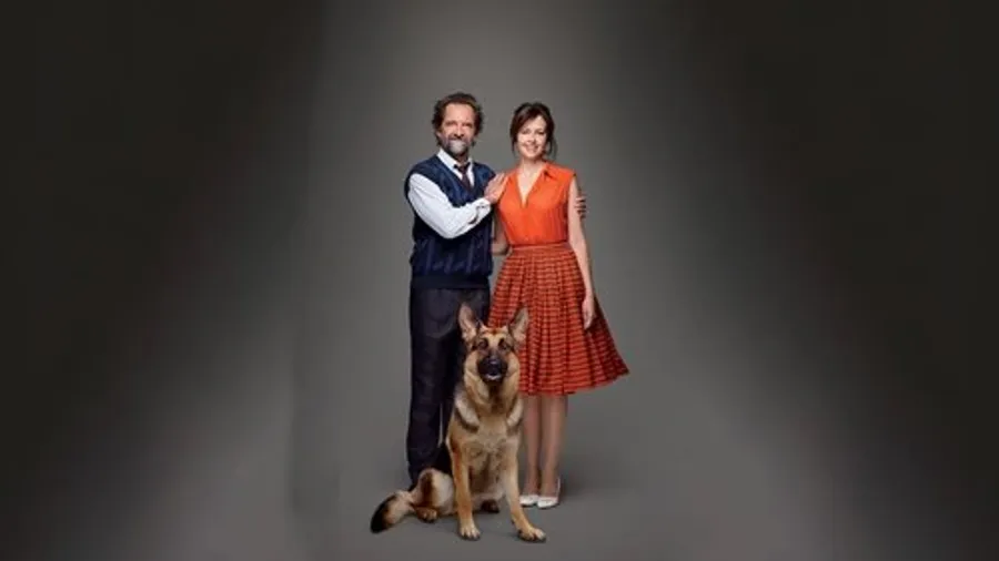 Медиа изображение