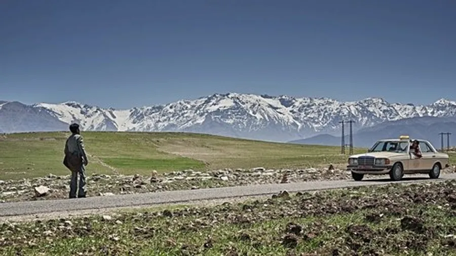 Image 15