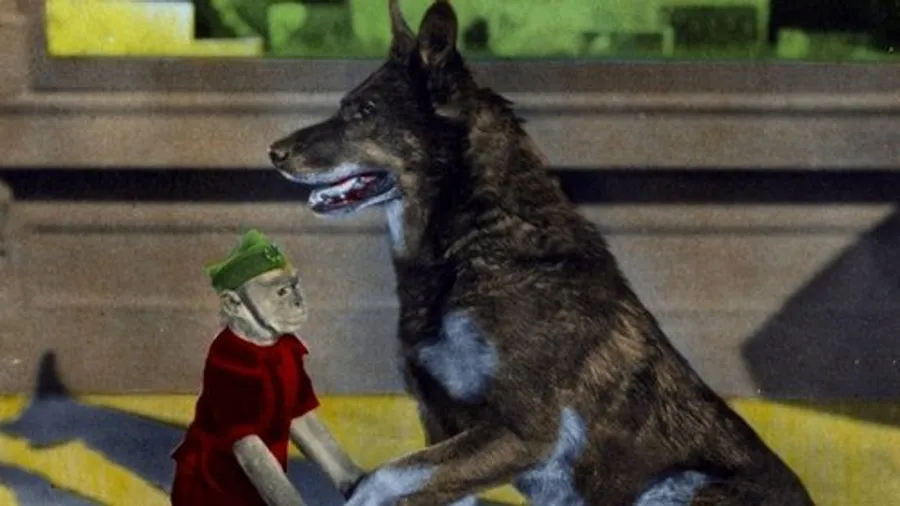 Медиа изображение