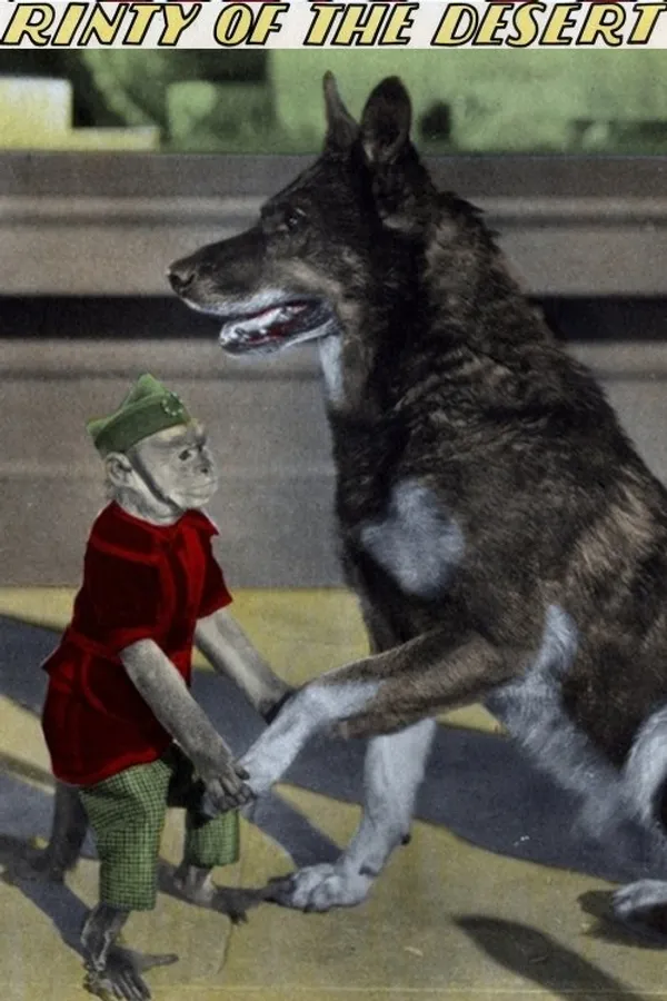 Медиа изображение