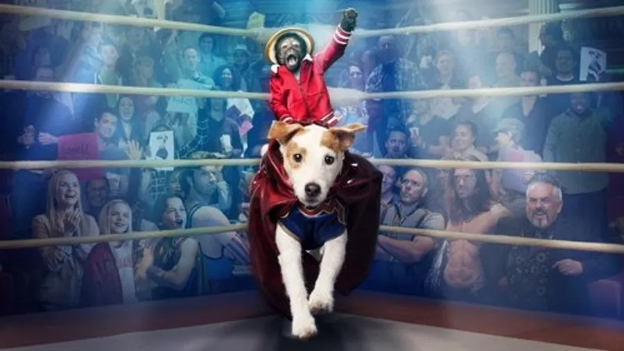 Медиа изображение