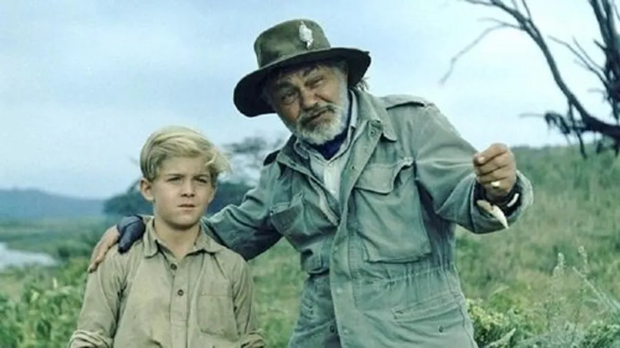 Медиа изображение