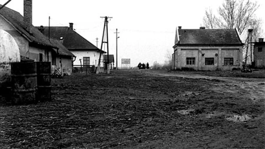 Image 43