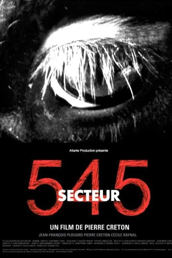 Secteur 545