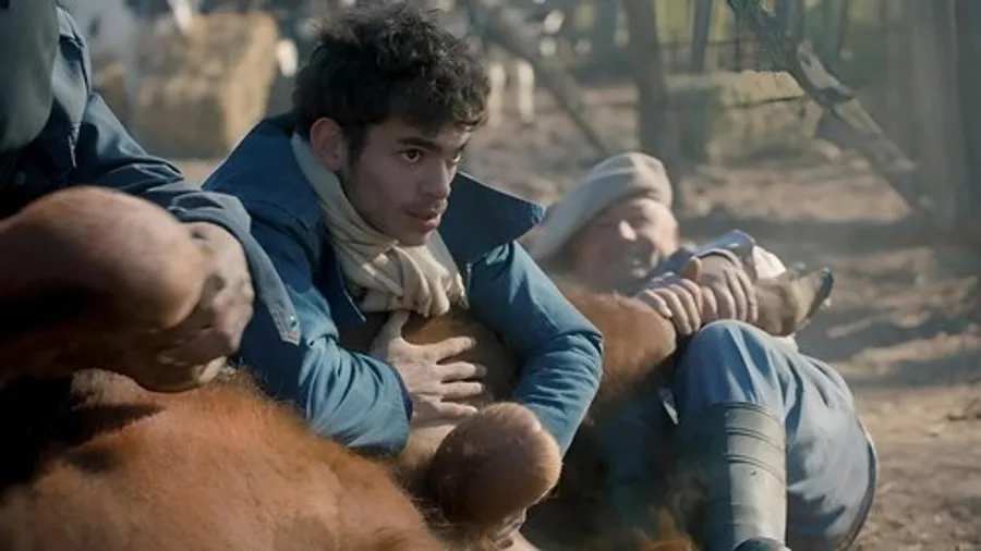 Медиа изображение