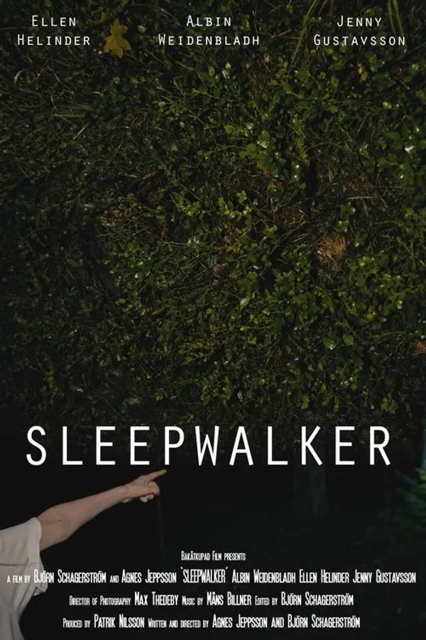 Sleepwalker