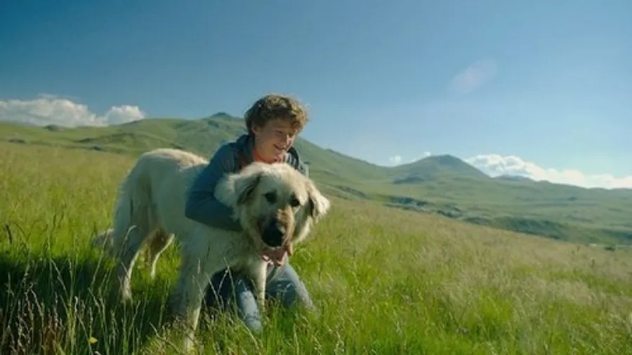 Медиа изображение