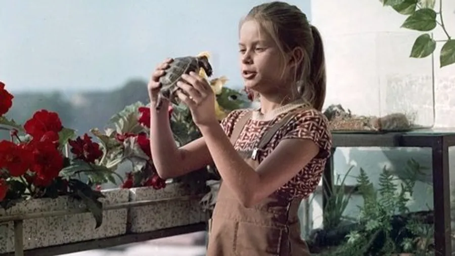 Медиа изображение